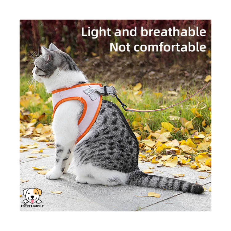 EcoPet Supplies 2025 New Summer Breathable Pet Dog Vest – Cool Comfort for Warm Days