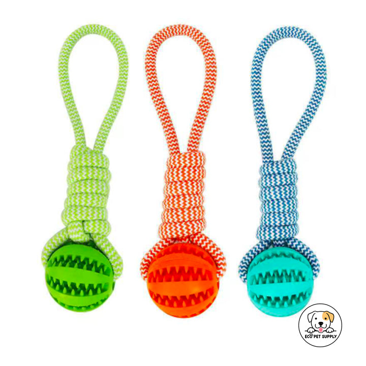 Eco Pet Supply Bite-Resistant Interactive Training Ball