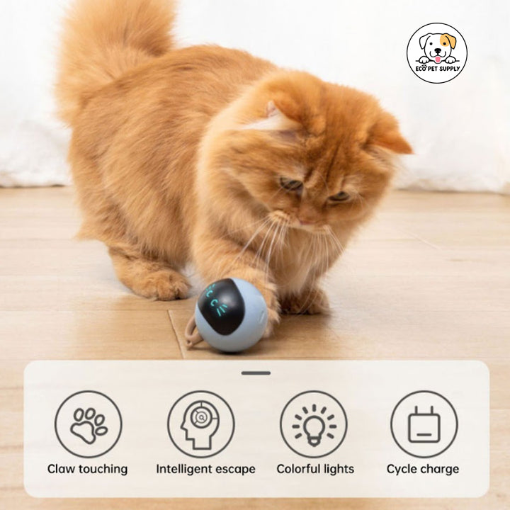 Eco Pet Supply Interactive Self-Rotating Ball