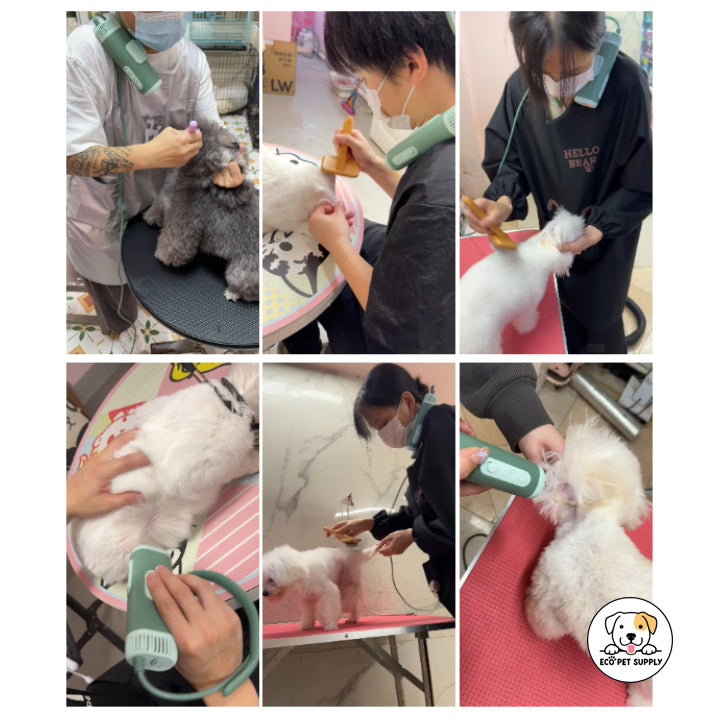 Eco Pet Supply Pet Dog Hair Dryer W/ Water Filter