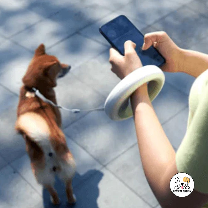 Eco Pet Supply Dog Leads Rope Smart Adjustable Leash LED light