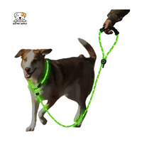 EcoPet Supplies 2025 Ultra-Bright LED Retractable Dog Leash – Walk Safely Day & Night with Comfort Grip!