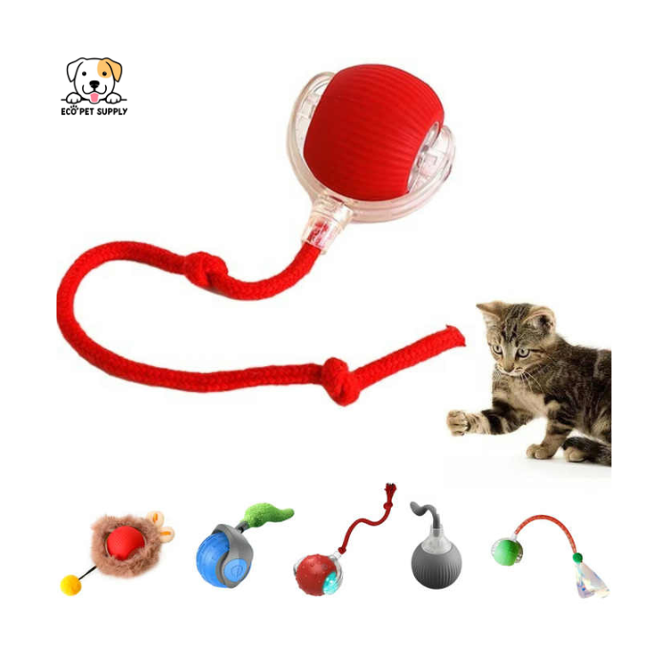 EcoPet Supplies Hot Selling Electric Cat Toy – 2025 Interactive Fun