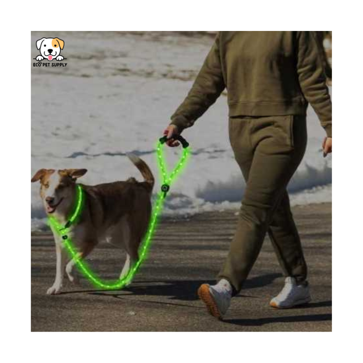 EcoPet Supplies 2025 Ultra-Bright LED Retractable Dog Leash – Walk Safely Day & Night with Comfort Grip!