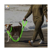 EcoPet Supplies 2025 Ultra-Bright LED Retractable Dog Leash – Walk Safely Day & Night with Comfort Grip!