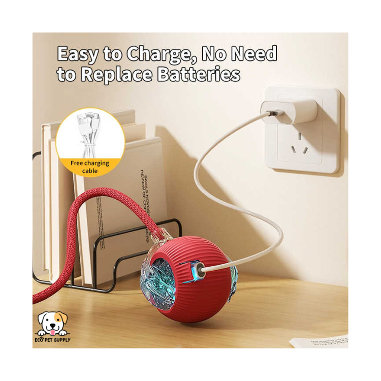 EcoPet Supplies Hot Selling Electric Cat Toy – 2025 Interactive Fun