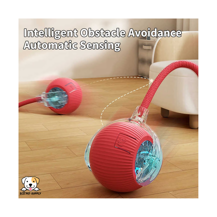 EcoPet Supplies Hot Selling Electric Cat Toy – 2025 Interactive Fun