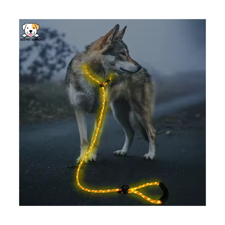 EcoPet Supplies 2025 Ultra-Bright LED Retractable Dog Leash – Walk Safely Day & Night with Comfort Grip!