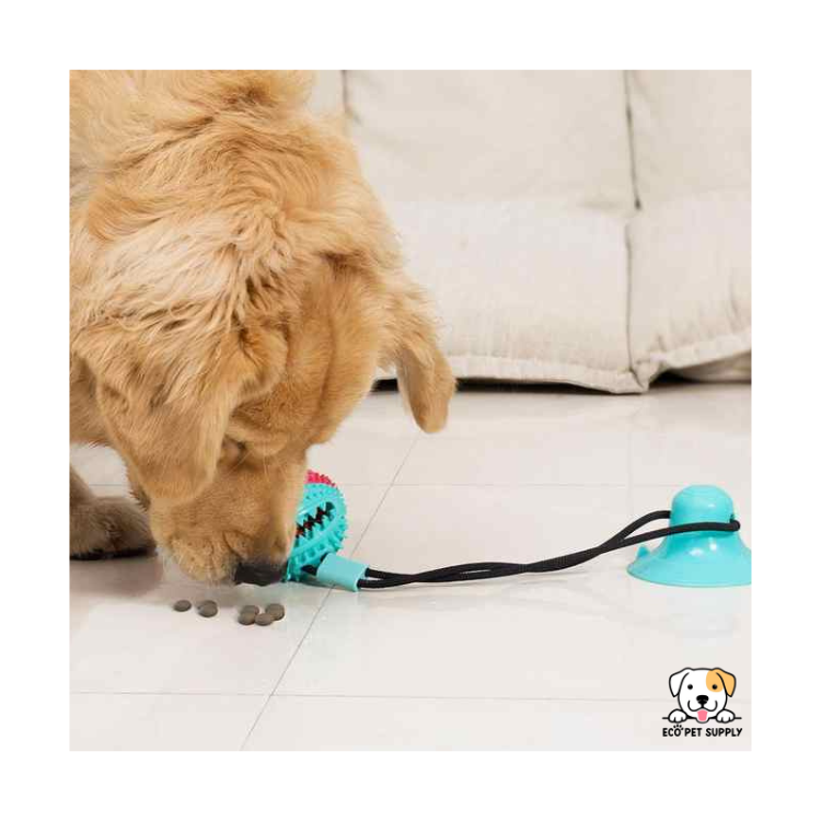 EcoPet Supplies 2025 TPR Dog Chew Toy with Durable Rope – Interactive Durable Dog Toy for Teeth Cleaning and Play
