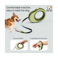 EcoPet Supplies 2025 Luxury LED Dog Leash – Light-Up Night Walking Essential