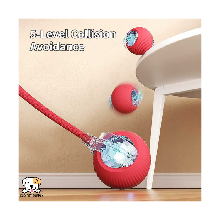 EcoPet Supplies Hot Selling Electric Cat Toy – 2025 Interactive Fun