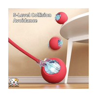 EcoPet Supplies Hot Selling Electric Cat Toy – 2025 Interactive Fun