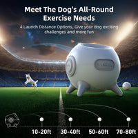 Automatic Dog Ball Launcher with Adjustable Distance