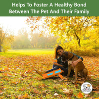 Eco Pet Supply AFP Interactive Hyper Fetch Maxi Ball Launcher – Automatic Tennis Ball Thrower for Dogs with Adjustable Distance and Rechargeable Battery