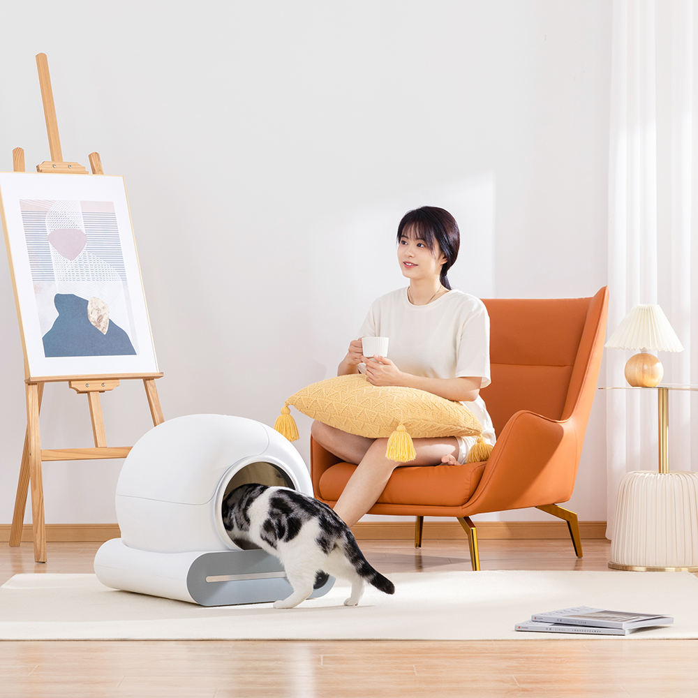 Smart App-Controlled Automatic Cat Litter Box