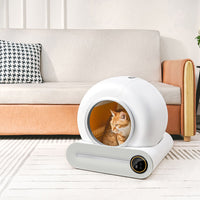 Smart App-Controlled Automatic Cat Litter Box