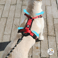Eco Pet Supply Pet Open Knot and No Pull Dog Harness – Adjustable Chest Strap with Reflective Strips