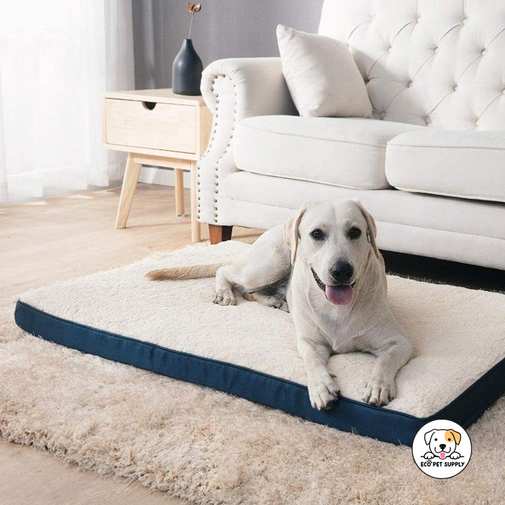 Eco Pet Supply Memory Foam Pet Bed