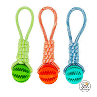 Eco Pet Supply Bite-Resistant Interactive Training Ball