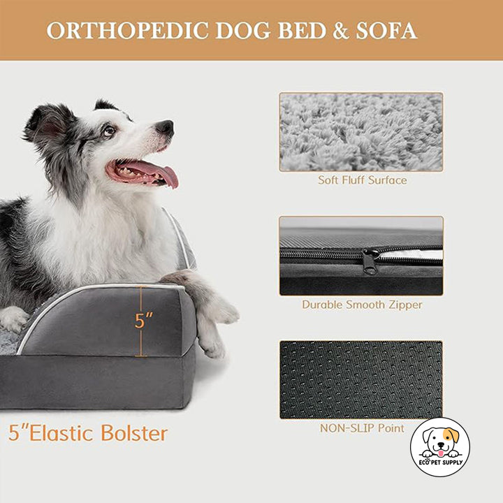 Eco Pet Supply Petwant Orthopedic Pet Bed