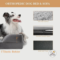 Eco Pet Supply Petwant Orthopedic Pet Bed