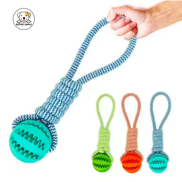 Eco Pet Supply Bite-Resistant Interactive Training Ball