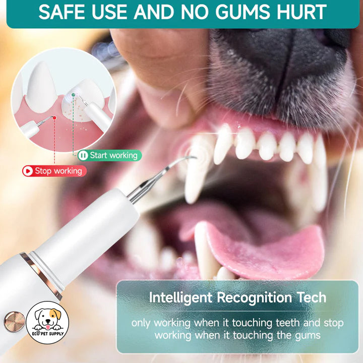 Eco Pet Supply Ultrasonic Plaque Remover Smart Pet Tooth Cleaner