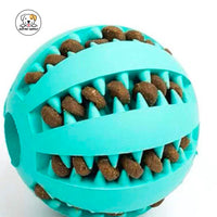 Eco Pet Supply Bite-Resistant Interactive Training Ball
