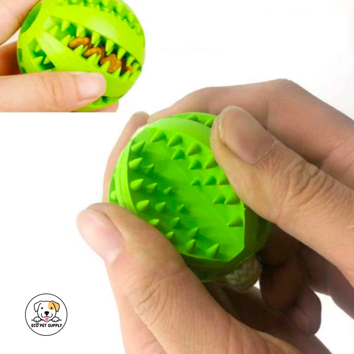 Eco Pet Supply Bite-Resistant Interactive Training Ball