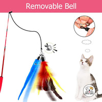 Eco Pet Supply Feather & Bell Interactive Cat Wand