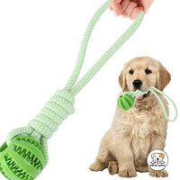 Eco Pet Supply Bite-Resistant Interactive Training Ball