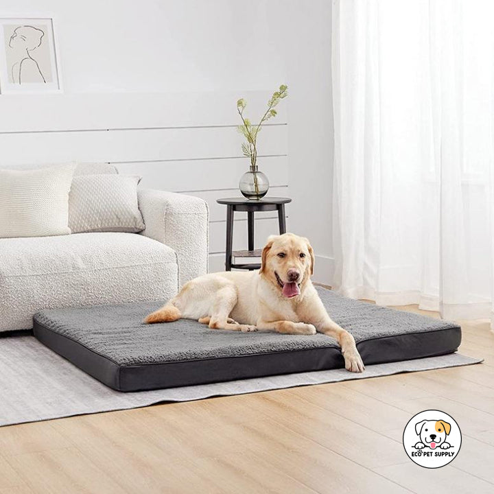 Eco Pet Supply Memory Foam Pet Bed