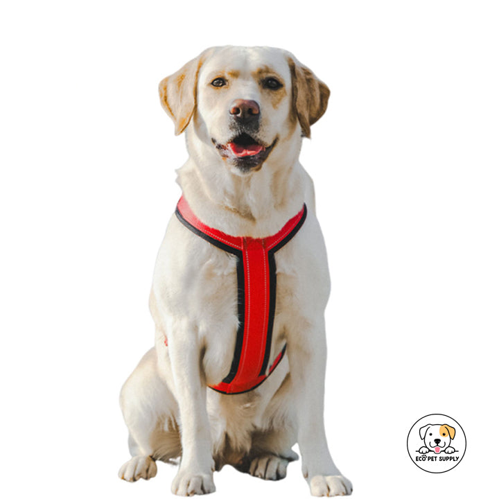 Eco Pet Supply Pet Open Knot and No Pull Dog Harness – Adjustable Chest Strap with Reflective Strips