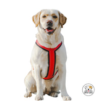 Eco Pet Supply Pet Open Knot and No Pull Dog Harness – Adjustable Chest Strap with Reflective Strips