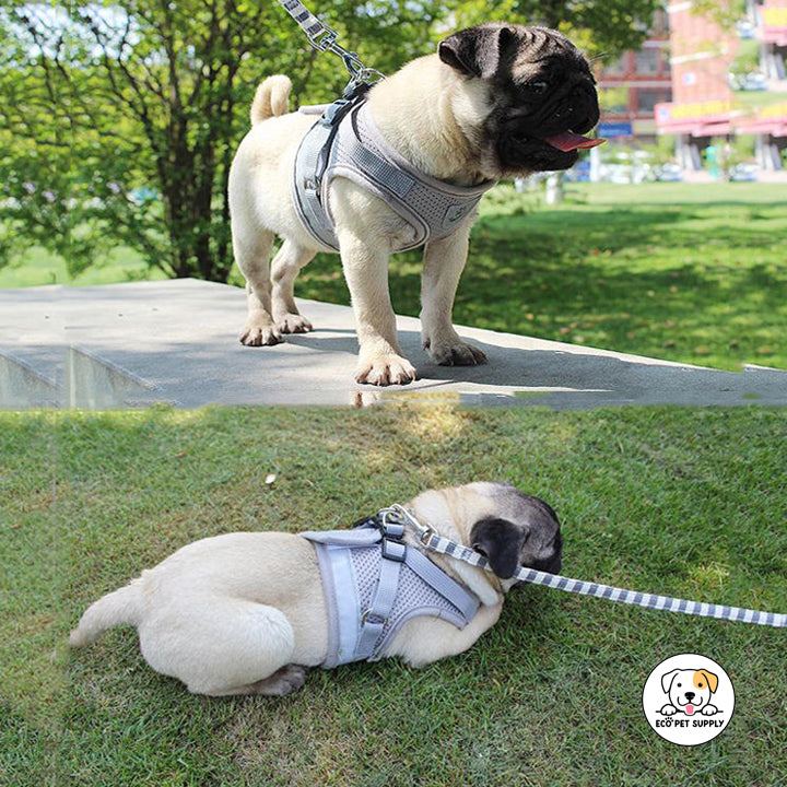 Eco Pet Supply Adjustable Nylon Dog Harness