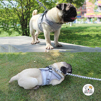 Eco Pet Supply Adjustable Nylon Dog Harness