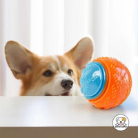 Eco Pet Supply Dog Toys Pet Products Interactive Squeaky Ball – Durable and Safe Chew Toy for Dogs