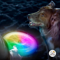 Eco Pet Supply Unisex Rechargeable LED Flying Disc – 36 RGB LEDs, Motion Sensor, USB-C Charging, Waterproof, 175g Ultimate Frisbee for Outdoor Night Play