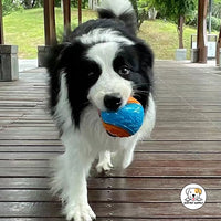 Eco Pet Supply Dog Toys Pet Products Interactive Squeaky Ball – Durable and Safe Chew Toy for Dogs