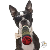 Eco Pet Supply Plush Pet Chew Toy – Durable, Squeaky, and Interactive Dog Toy for Aggressive Chewers with Novelty Cigar Design
