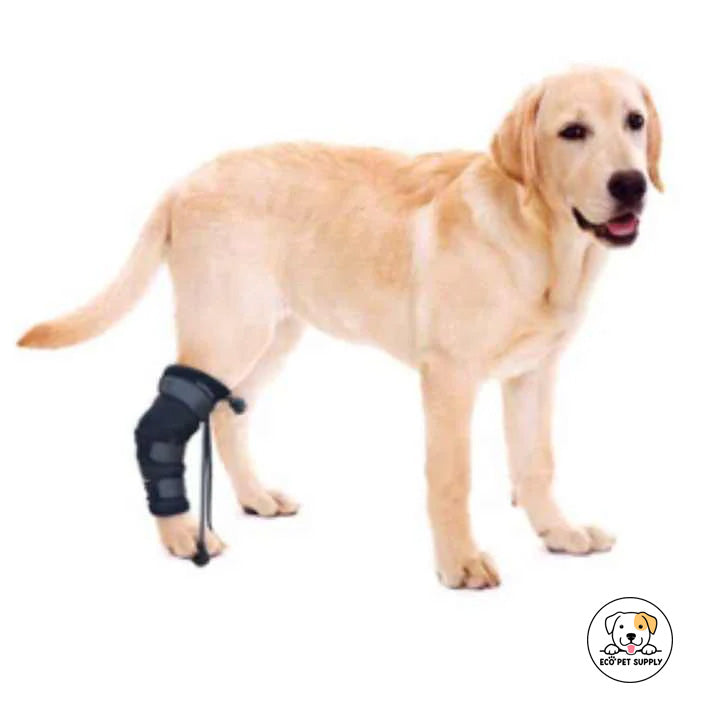 Eco Pet Supply Dog Knuckling Boot Brace