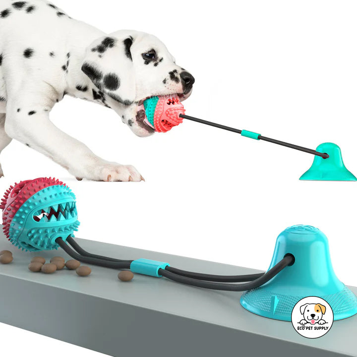 Eco Pet Supply TPR Dog Chew Toy with Durable Rope – Interactive Durable Dog Toy for Teeth Cleaning and Play