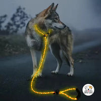 Eco Pet Supply Ultra-Bright LED Retractable Dog Leash – Walk Safely Day & Night with Comfort Grip!