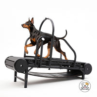 Eco Pet Supply Pet Dog Treadmill