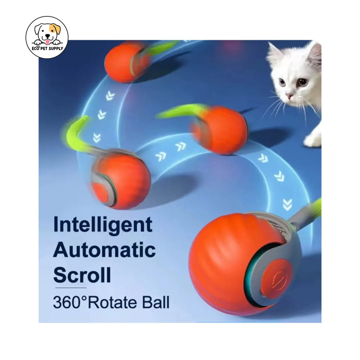 Eco Pet Supply Automatic Moving Ball Puzzle