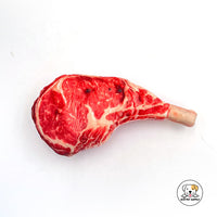 Eco Pet Supply Plush‑Simulation Oxford Training Dummy