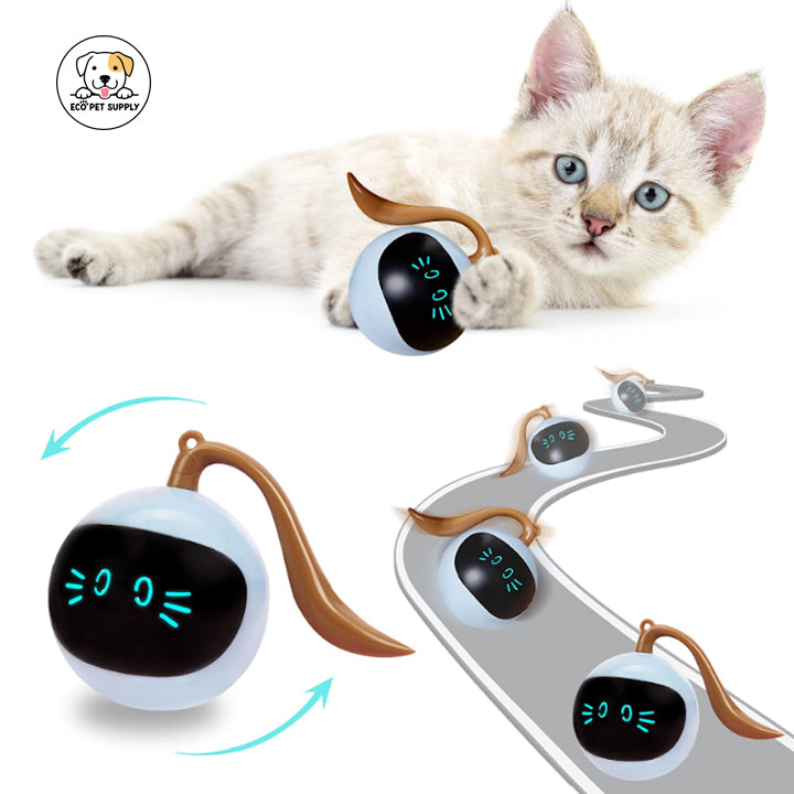 Eco Pet Supply Interactive Self-Rotating Ball