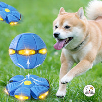 Eco Pet Supply Interactive UFO Dog Toy – Durable Plastic Design with Engaging Lights and Sounds for Active Play and Mental Stimulation