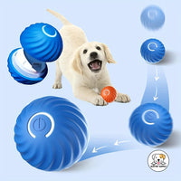 Eco Pet Supply Smart Motion Dog Toy Ball