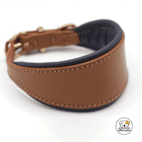 Eco Pet Supply Vegan Leather Genuine Leather Dog Collar With Comfort Lining